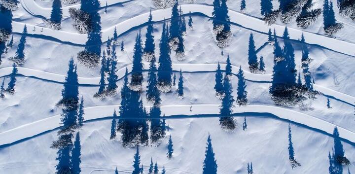 Plan des pistes "Ski de fond"